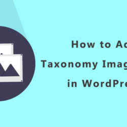 How to Add Taxonomy Images in WordPress?