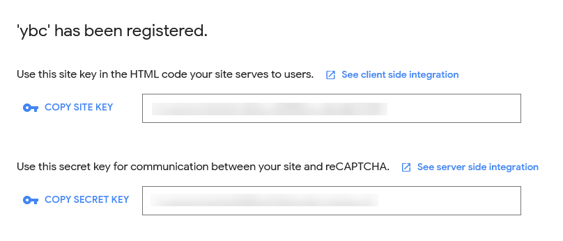 Google reCAPTCHA API Keys