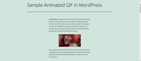 Fronted GIF View in WordPress
